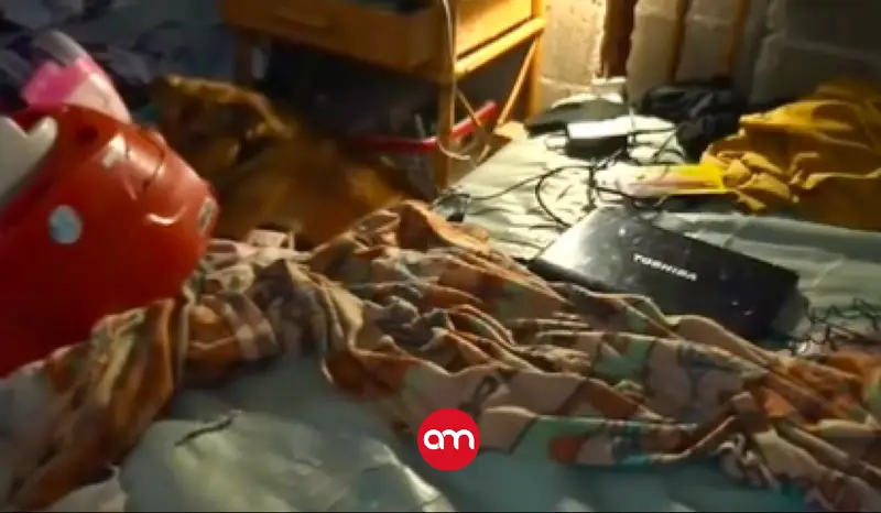 Lo que dijo la niña rescatada en un búnker de Cartago dejó a todos en silencio
