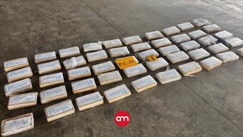 Hallan 50 kilos de cocaína ocultos en sistema de refrigeración de contenedor con destino a Polonia
