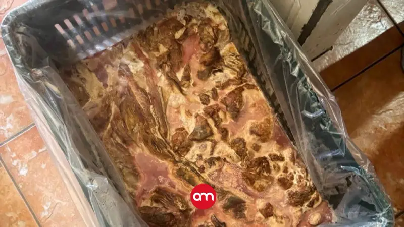 Heces de roedores y carne: el preocupante hallazgo de SENASA en un operativo