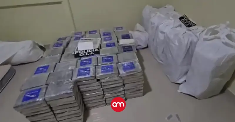 Desde una AK-47 hasta plantas de marihuana: Vea todo lo que decomisó el OIJ a banda narco en Cartago
