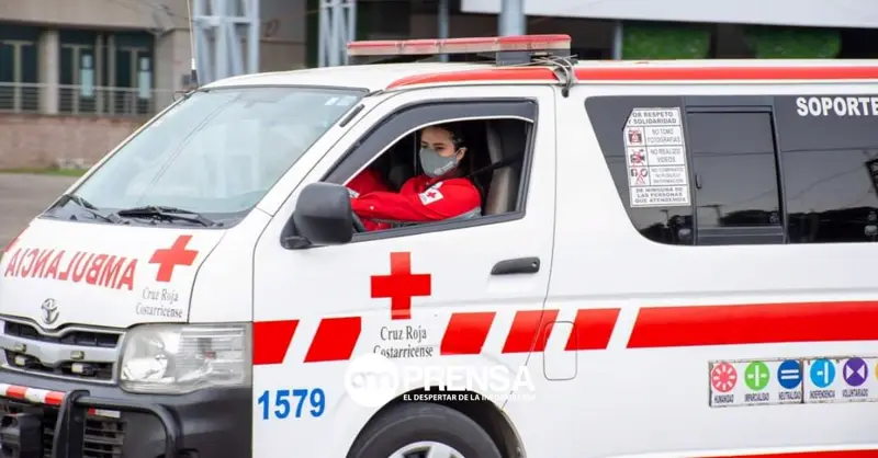 Hombre sufre trágica muerte mientras reparaba un bus a la orilla de la carretera