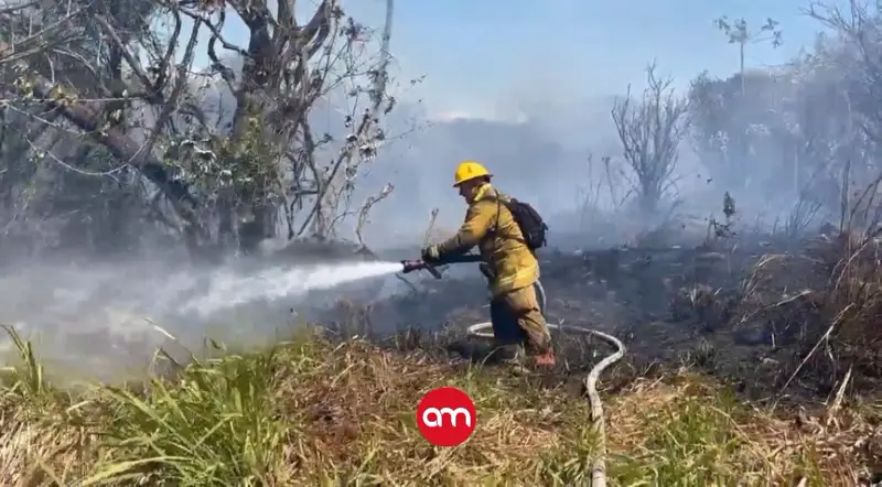 ¡Lamentable! 2026 ya es el año con más incendios forestales en la historia de Costa Rica