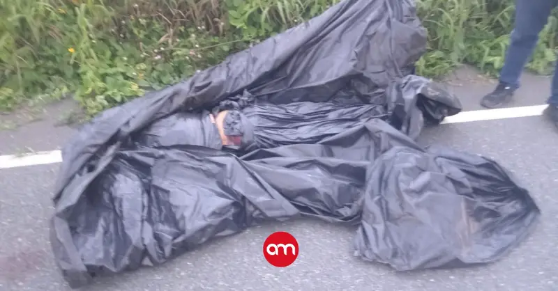 Hallazgo en bolsas de basura causa terror en la ruta 32