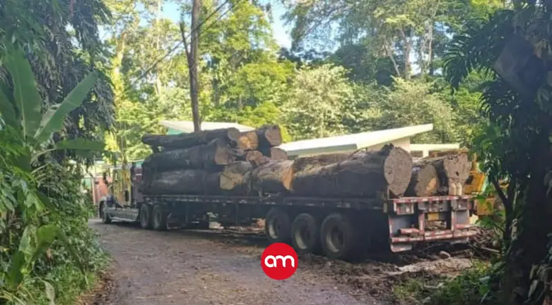 Caso Gandoca-Manzanillo: ordenan suspender permisos forestales y clausurar camino interno en fincas bajo investigación