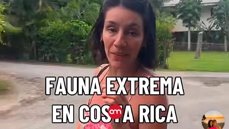 “En Costa Rica hasta los Uber los manejan animales”: turistas se vuelven virales por divertida experiencia en el Caribe Sur