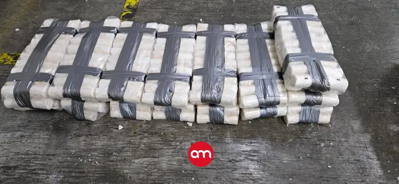 Casi 600 paquetes de cocaína fueron hallados ocultos en yuca en contenedor con destino a Europa