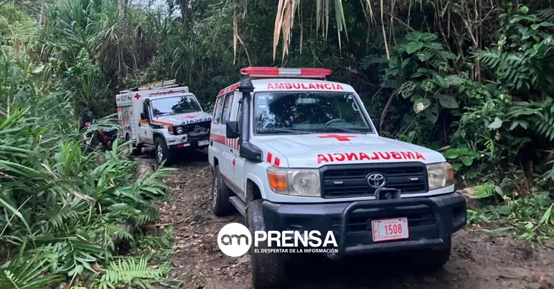 Buscan a dos personas desaparecidas en el Parque Nacional Tapantí