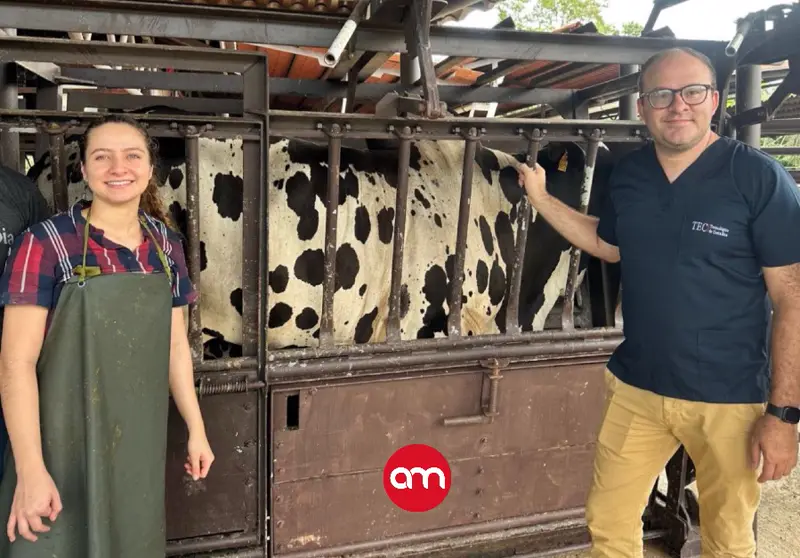 Del semen de toros a la conservación de cocodrilos: científico del TEC gana Premio Nacional de Tecnología 2025