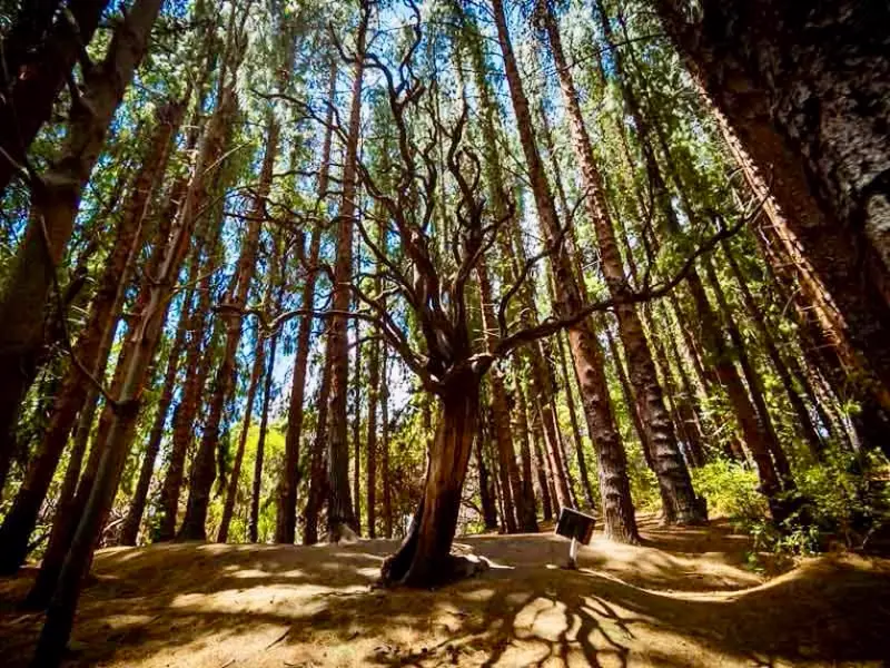 Turismo en Cartago: 21 lugares imperdibles y experiencias inolvidables