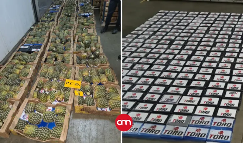 Detienen en Limón a hombre vinculado con cargamento de cocaína oculto entre piñas
