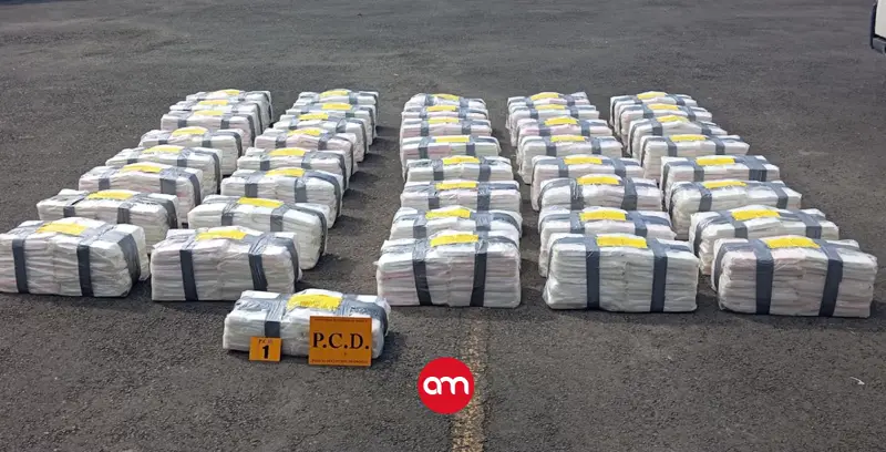 Descubren cargamento de droga en yuca de exportación que iba para Europa