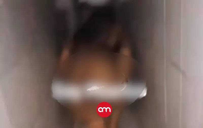 ¡Vergonzoso! Descubren pareja teniendo sexo en cementerio de Pococí