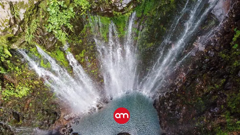 Desde un paraíso escondido entre cataratas nace el agua que hoy da vida a Cartago