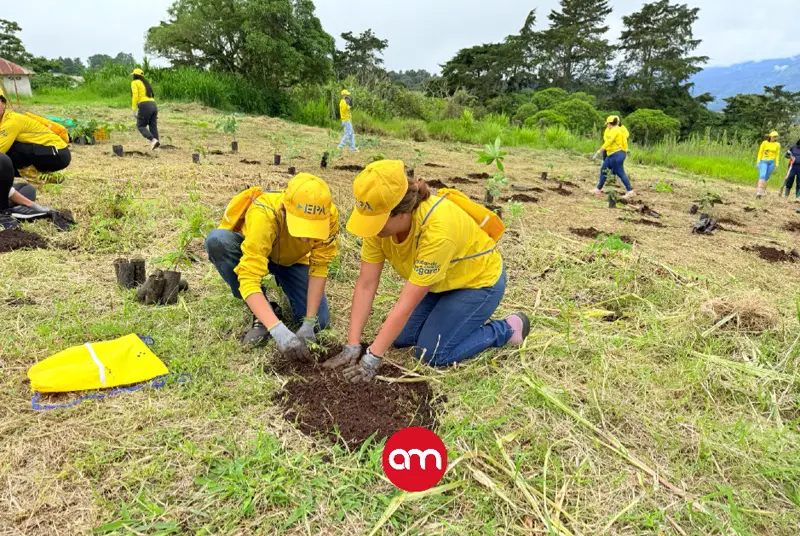 Cientos de árboles reverdecen Costa Rica gracias a campaña “Ayudar es Sencillo”