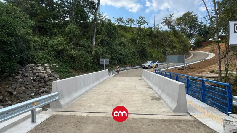 CNE entrega seis puentes en Zona Sur tras daños por huracán Julia