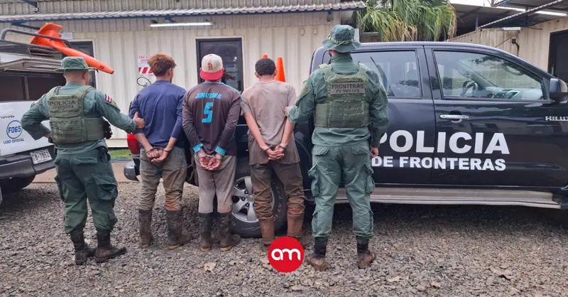 Con gusanos, tuertos y heridos: así intentaron tres nicaragüenses ingresar grupo de caballos a Costa Rica