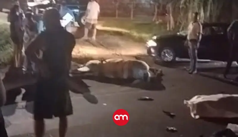 Trágico accidente: Ellos son los dos jóvenes que murieron tras violento choque con un caballo