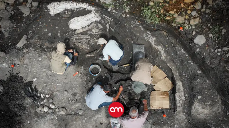 ¡Increíble! Hallan en Cartago restos de mastodonte y perezoso gigante de hasta 40 mil años de antigüedad