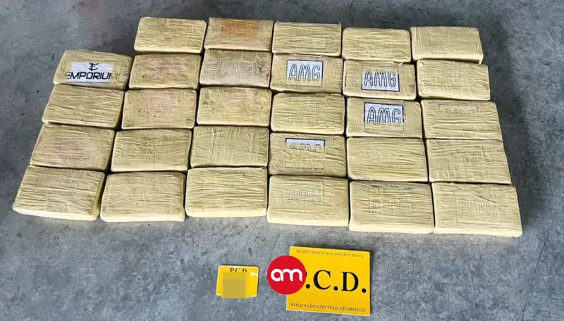Decomisan cargamento de droga que iba directo a España en un contenedor con mariscos