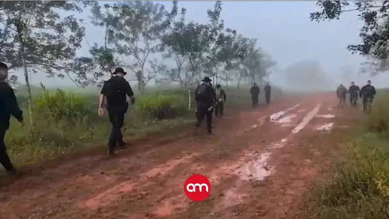 Crucitas al borde del colapso: ministro confirma devastación casi total y 20 coligalleros caen en megaoperativo