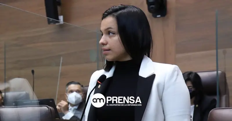 Una diputada faltó por cirugía estética y otra asiste en licencia de maternidad: el contraste en votación del desafuero de Chaves