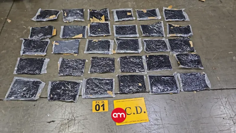 Nuevo golpe al narcotráfico: decomisan 50 kilos de cocaína ocultos en contenedores con destino a Europa