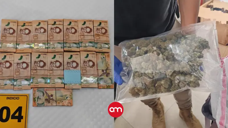 OIJ detiene a dos mujeres en Cartago por legitimación de capitales ligada a venta de marihuana