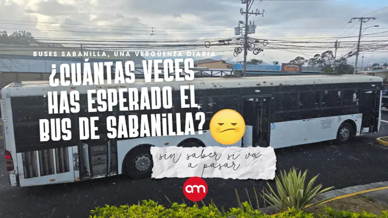 Más de 5.600 personas se unen contra autobusera del Este: crece presión por denuncias de mal servicio