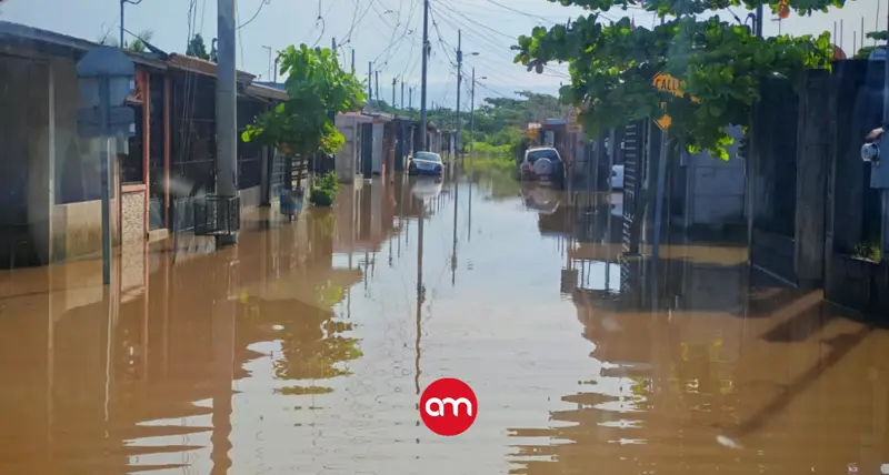 Pese a disminución de lluvias, casi 500 personas siguen en albergues a la espera que que volver a sus casa sea seguro