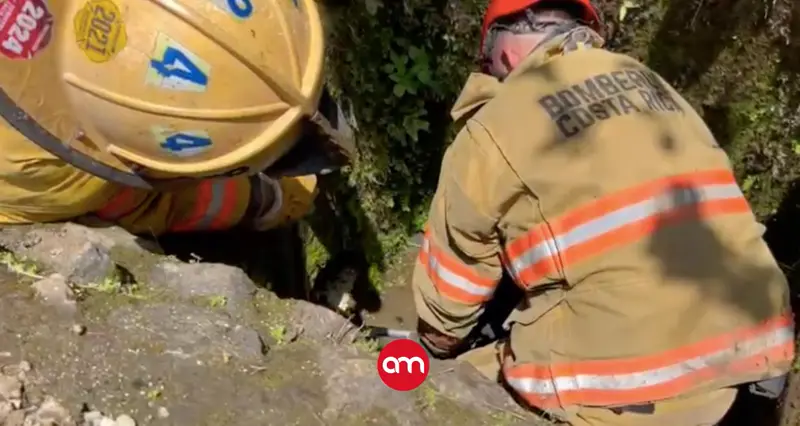 (Video) Rescatan en condición crítica a manigordo que estaba atrapado en una alcantarilla en Santa Ana