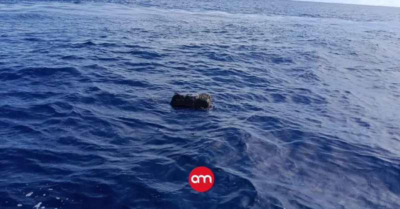Recuperan casi 50 kilos de marihuana que estaban abandonados en altamar