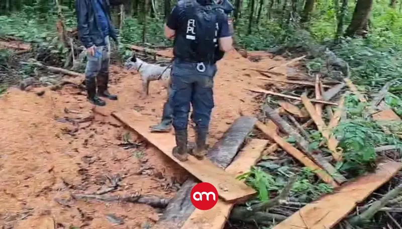 Policía descubre enorme tala de árboles en refugio de vida silvestre