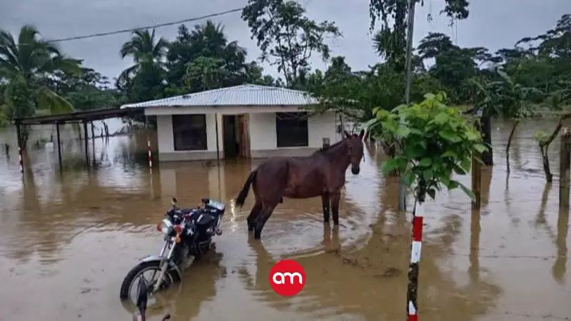 CNE decreta estado de alerta amarilla ante fuertes lluvias por paso de nueva onda tropical