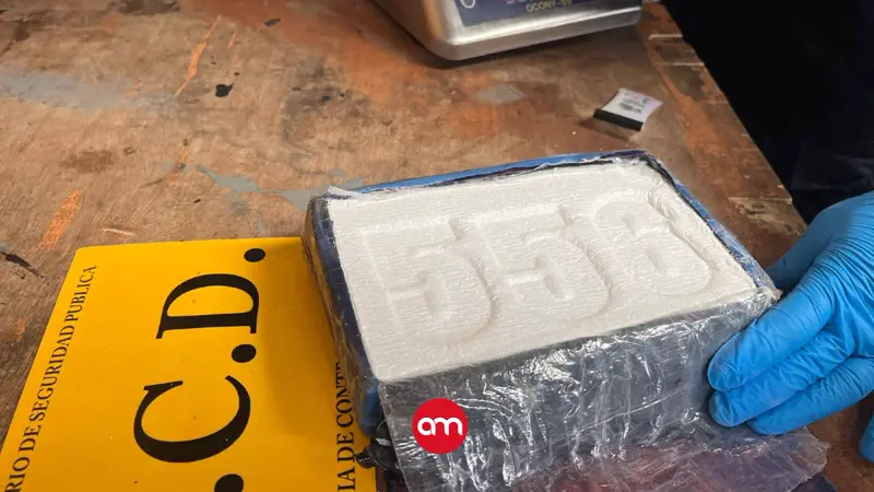 Fingieron ser policías para ejecutar un allanamiento, pero algo salió mal y descubrieron 96 kilos de cocaína