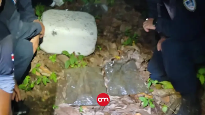 Encuentran paquetes de marihuana abandonados en el Parque Nacional Corcovado