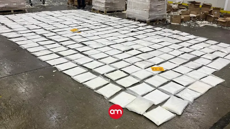 Golpe al narcotráfico en Moín: decomisan más de 500 paquetes de cocaína ocultos en cargamento de yuca