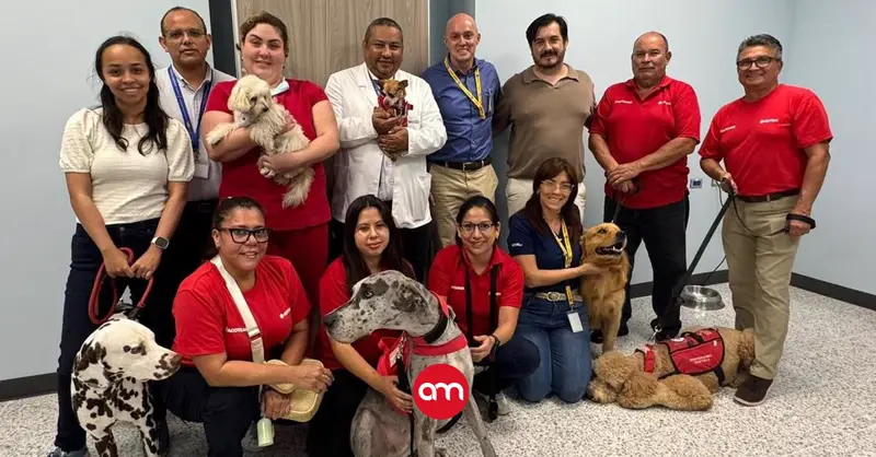 Cuando una mascota también sana: Hospital Monseñor Sanabria apuesta por terapia que toca el corazón