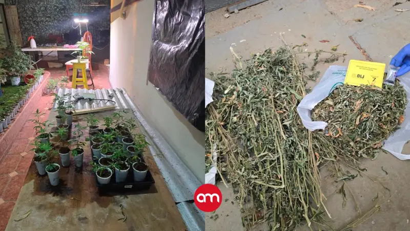 Capturan pareja que operaba laboratorio narco: Todo esto les decomisaron