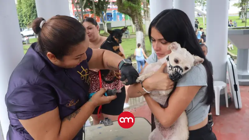 Turrialba realiza jornada gratuita de vacunación para perros callejeros y rescatados