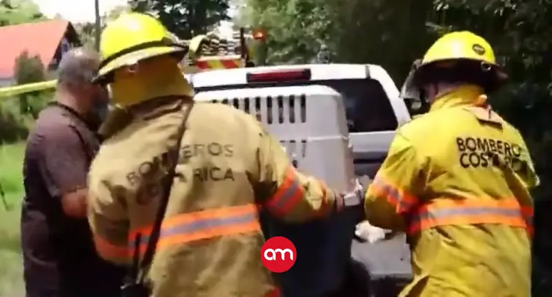 Hijo y yerno de hombre que murió tras ataque de su perro relatan los trágicos minutos del sangriento hecho