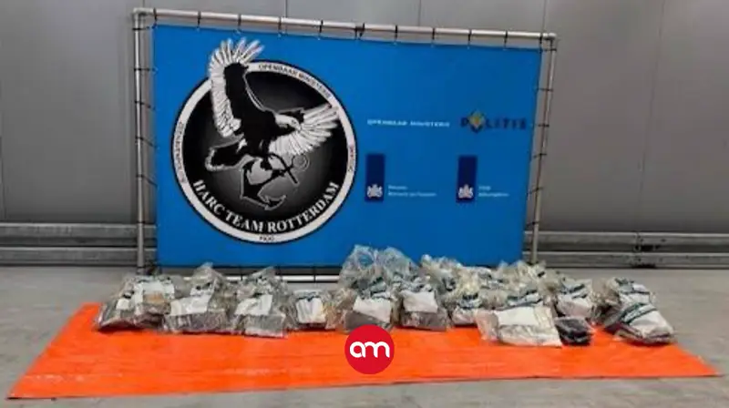 Decomisan en Europa cargamento de cocaína oculto en piña procedente de Costa Rica