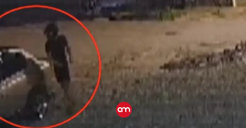 Atroz crimen que cobró la vida de un hombre quedó grabado: OIJ usa video para esclarecerlo