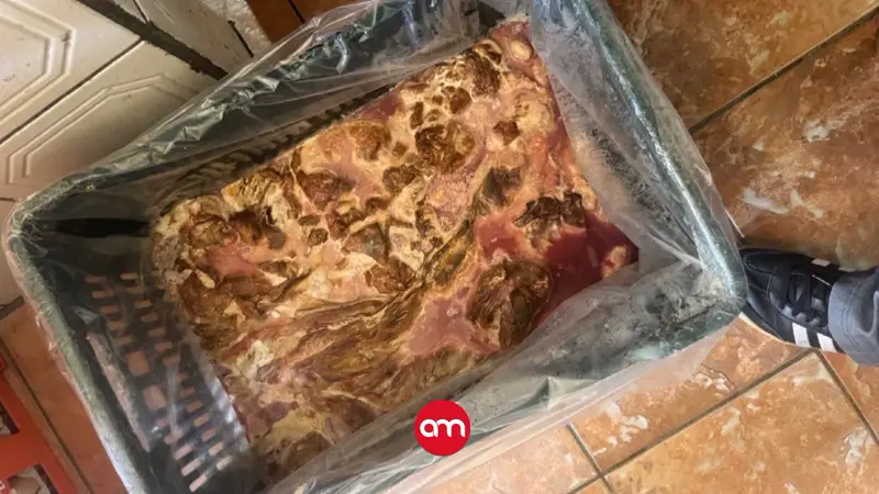 ¡Asco total! Encontraron heces de roedores sobre la carne y clausuraron carnicería