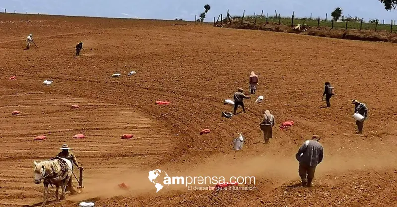 Agricultores celebran su día solicitándole acciones al Gobierno