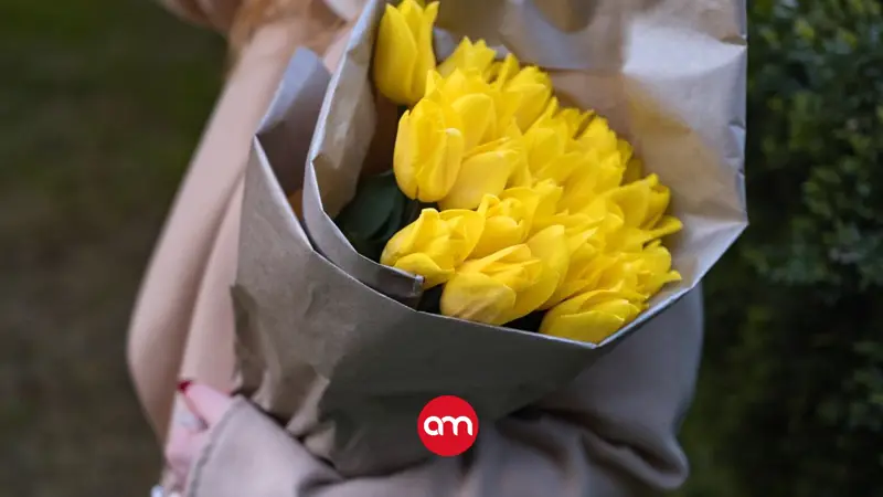 Hoy se regalan flores amarillas: esta es la historia detrás de la tradición que invade las redes cada 21 de septiembre