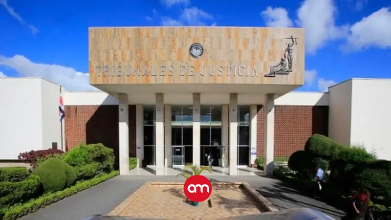 Juez ordena eliminar cafetales y reforestar tres fincas tras daño a zona boscosa en Tarrazú