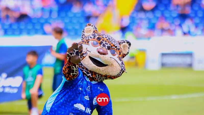 Max, la querida mascota del Cartaginés, se resbaló en una dinámica y ahora trabaja en su recuperación