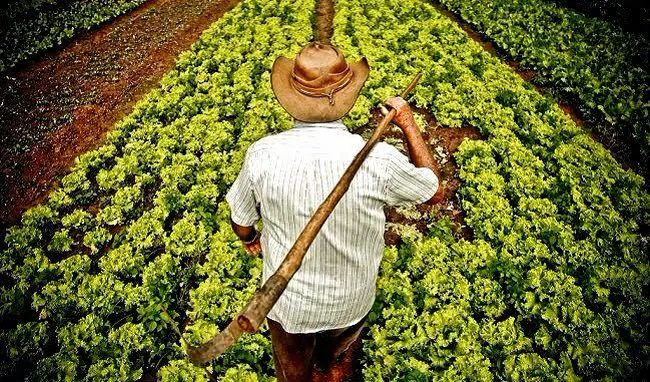Cartago se planta contra tratado comercial y alerta de posible quiebra de agricultores