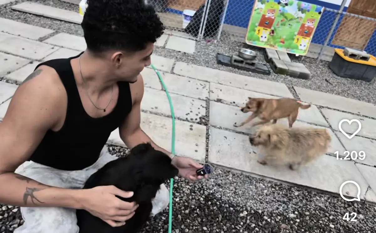 ¡Un gol de corazón! Daniel Chacón y jugadores de la Liga se unen para ayudar a 180 perritos rescatados en Cartago