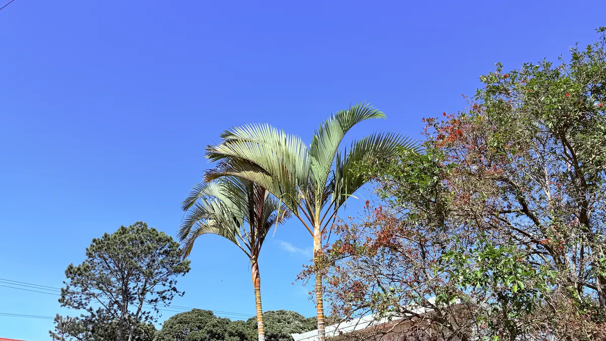 ¿Adiós a las lluvias? El cambio de tiempo trae una sorpresa para las tardes
